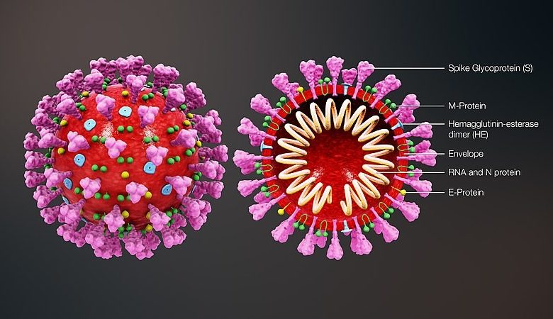 تجاوز العدد الإجمالي للمصابين المسجلين بفيروس كورونا المستجد (كوفيد 19)،
