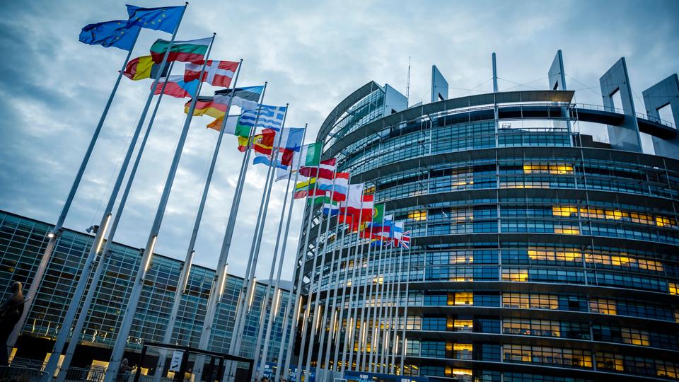 طالب نواب البرلمان الأوروبي بإلغاء تمثيل الاتحاد الأوروبي في قمة مجموعة العشرين التي ستعقد في السعودية، لعدم إضفاء شرعية على إفلات السعودية من العقاب