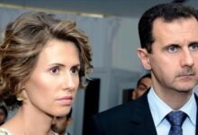 الأسد وزوجته